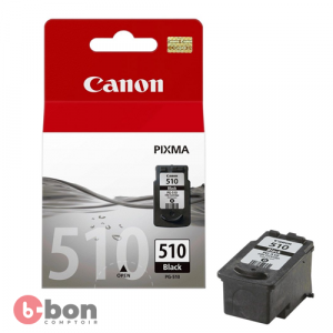 Encre Canon 510 2023-12-01
