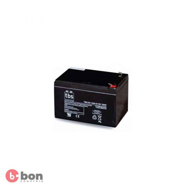 Batterie 12V 09AH (BAT12v-09AH) meilleure offre au Cameroun 2023-09-24 2